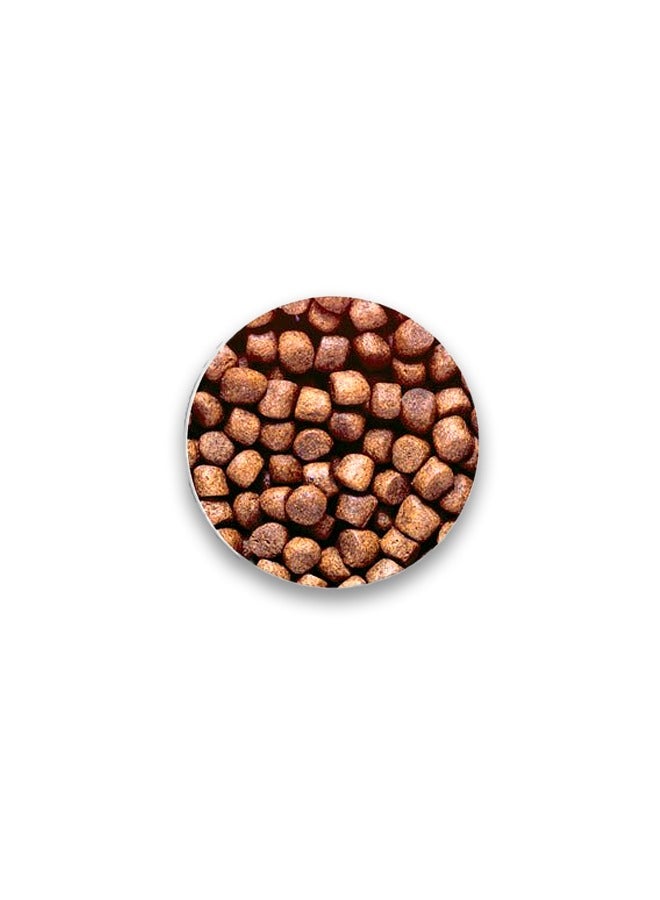 Hikari طعام سكي هيكاري للنمو على شكل حبيبات متوسطة عائمة لأسماك الكوي - 2 كجم - Image 2